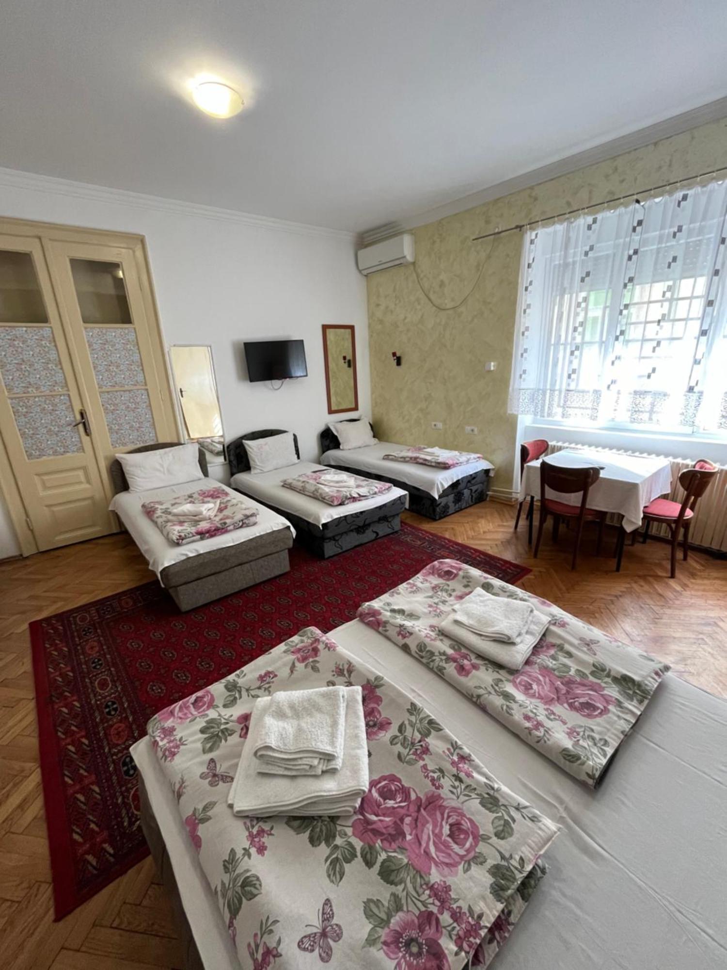 Sobe Sa Sopstvenim Kupatilom Private Rooms Bathroom In Center โนวีซาด ภายนอก รูปภาพ